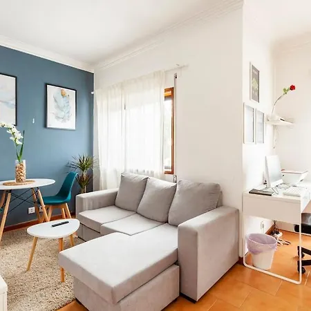 Privado 비아나도카스텔로